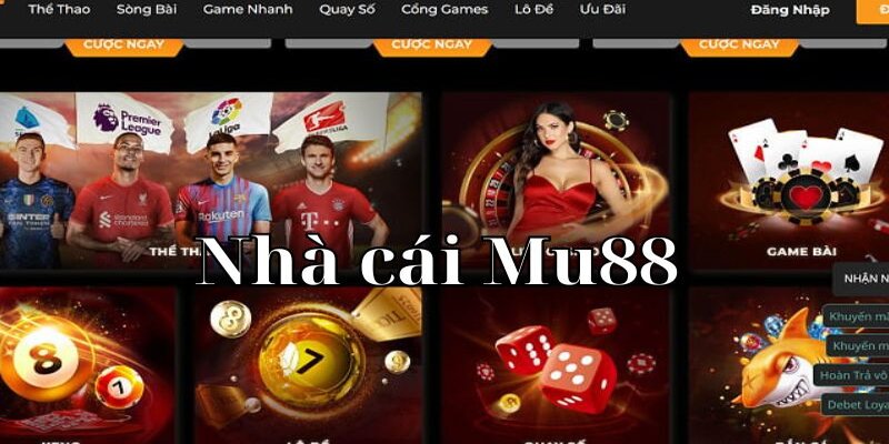 Tìm hiểu về chăm sóc người chơi tại nhà cái
