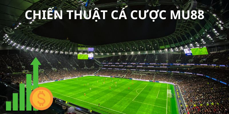 Những lợi ích khi sử dụng chiến thuật cá cược hiệu quả